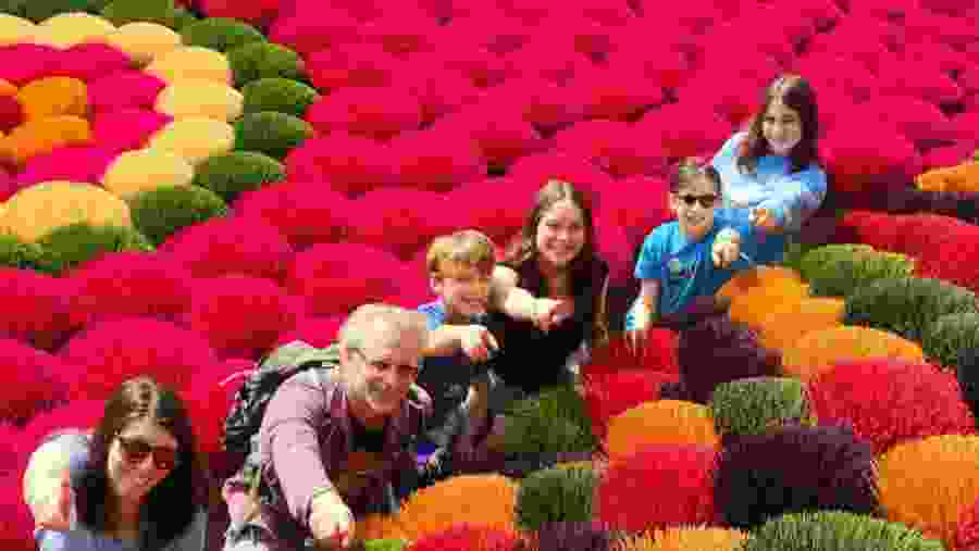 Hang Múa (Mua Caves)