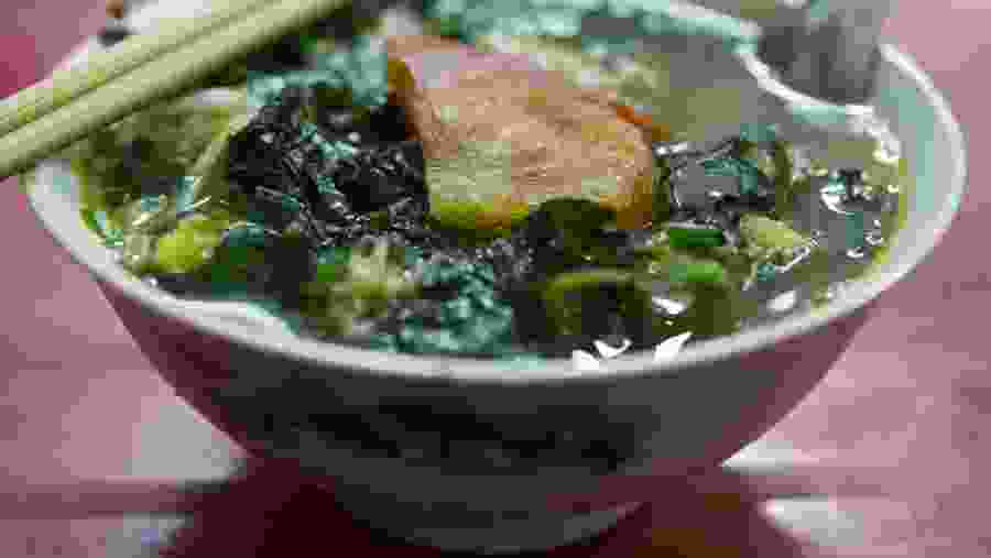 Vietnamese Street Food in Hanoi