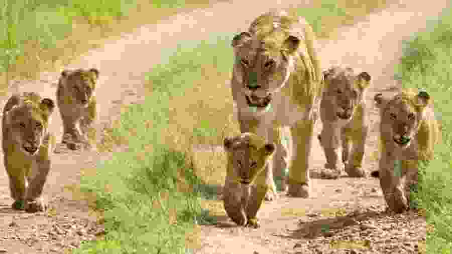 Lake Manyara National Park