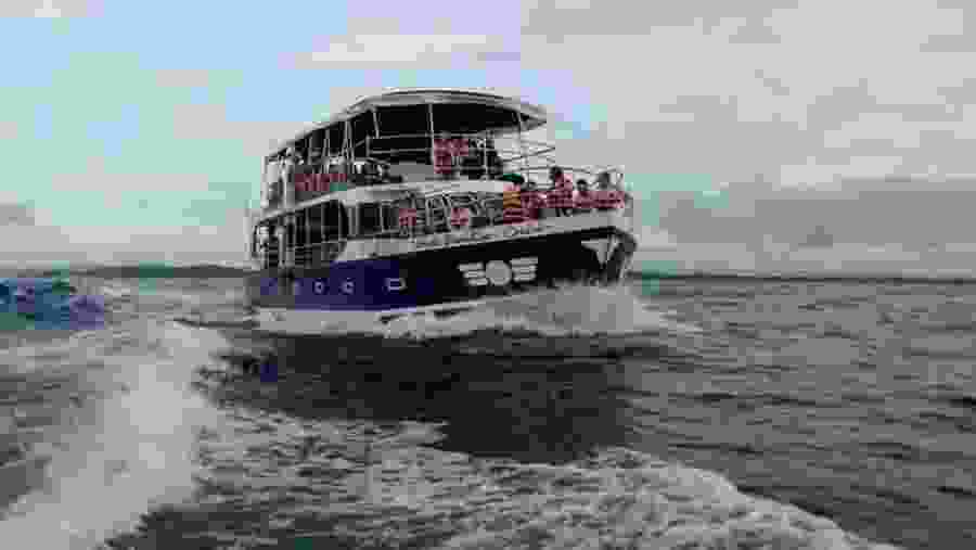 Whale Watching In Mirissa