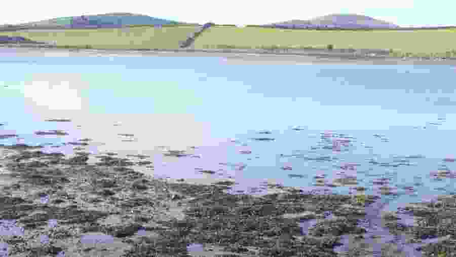 Ballycarbery of Ireland