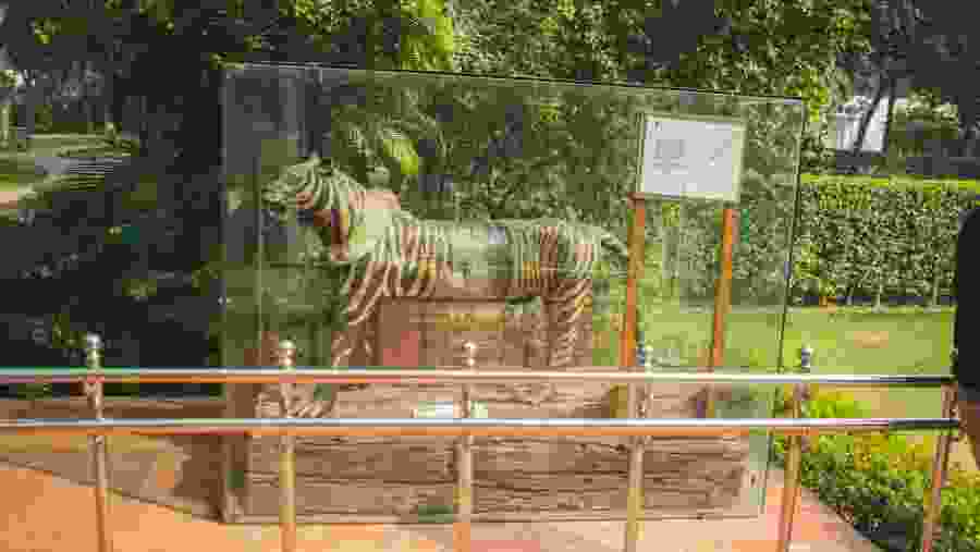 See the Tiger Statue on this Historical tour of Delhi