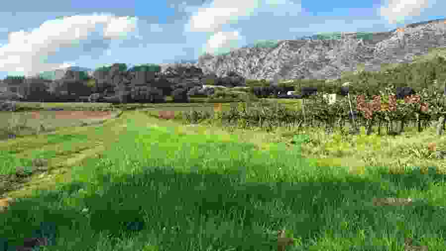 Trip to Aix-en Provence, Marseille & Countryside