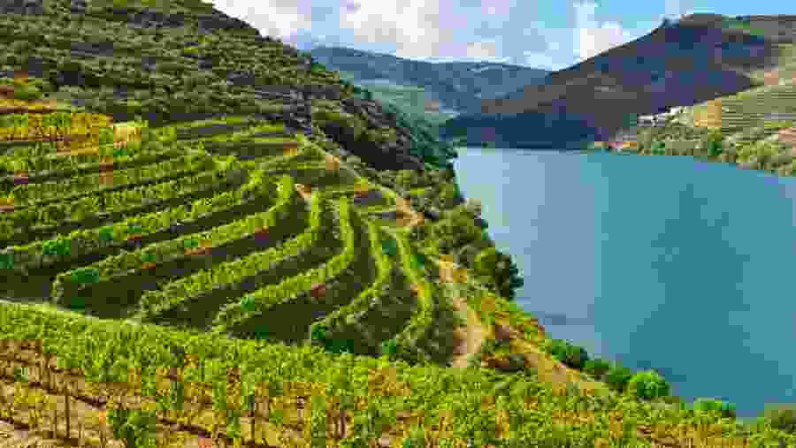 Douro Valley