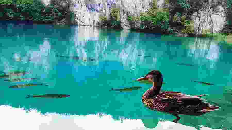 Plitvice Lakes National Park