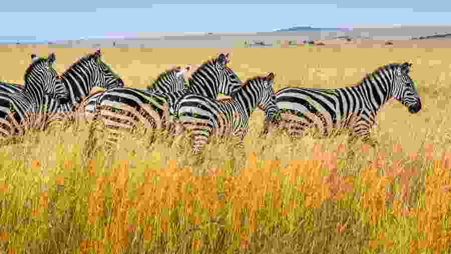 Queen Elizabeth National Park, Uganda