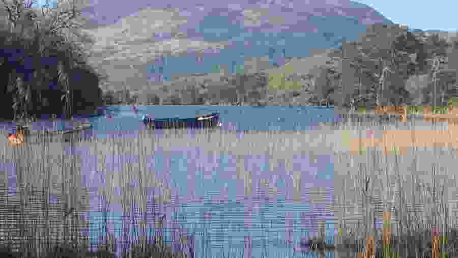 Admire the lake ahead of Muckross in Killarney