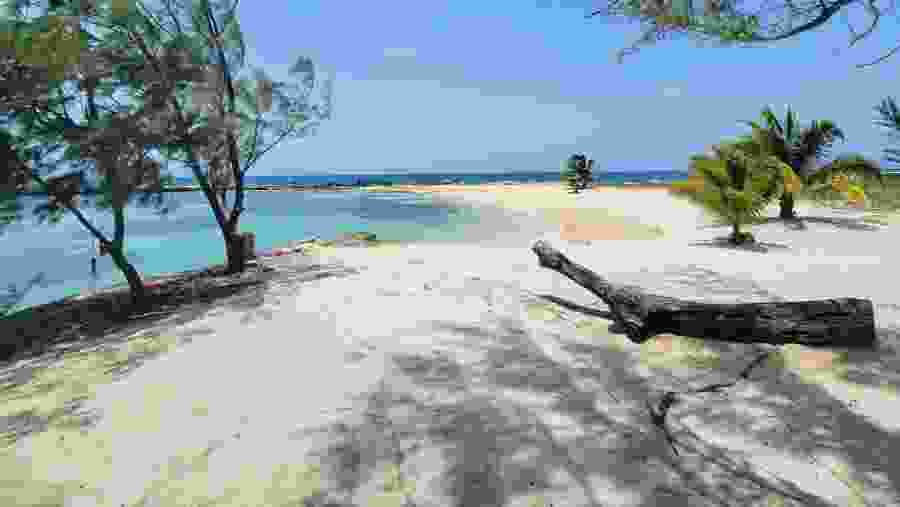 Relax and unwind at the stunning Caribbean beaches