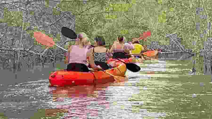 Tourists Kayaking