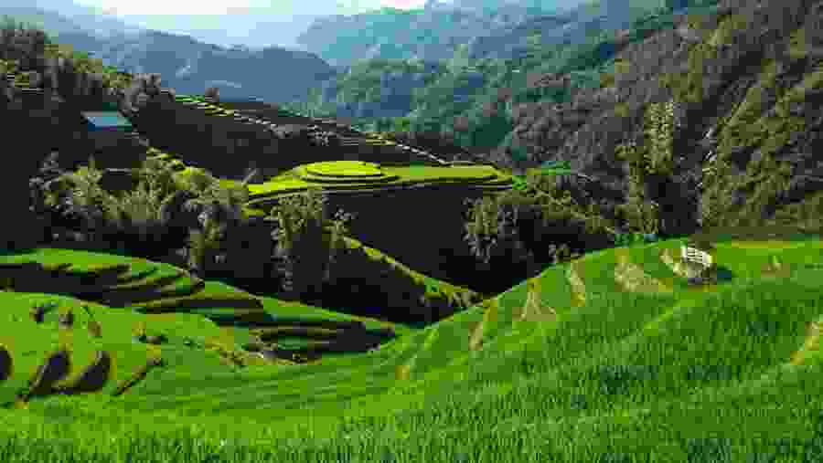 Lush green mountains of Y Linh Ho