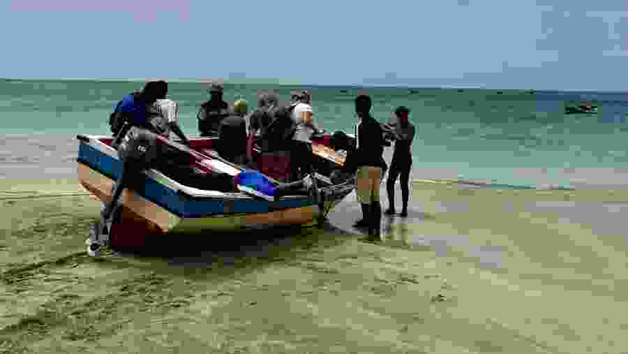 Turtle Snorkeling Experience in São Vicente