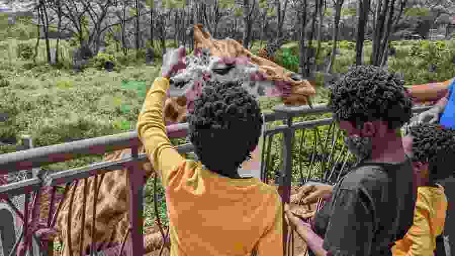 Child interaction in Giraffe Center