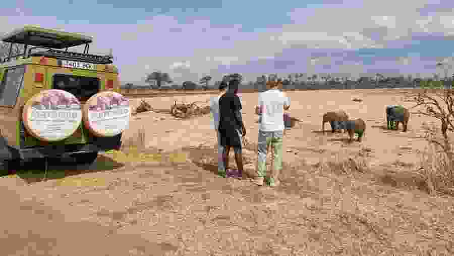 Marvel at up close animal experiences