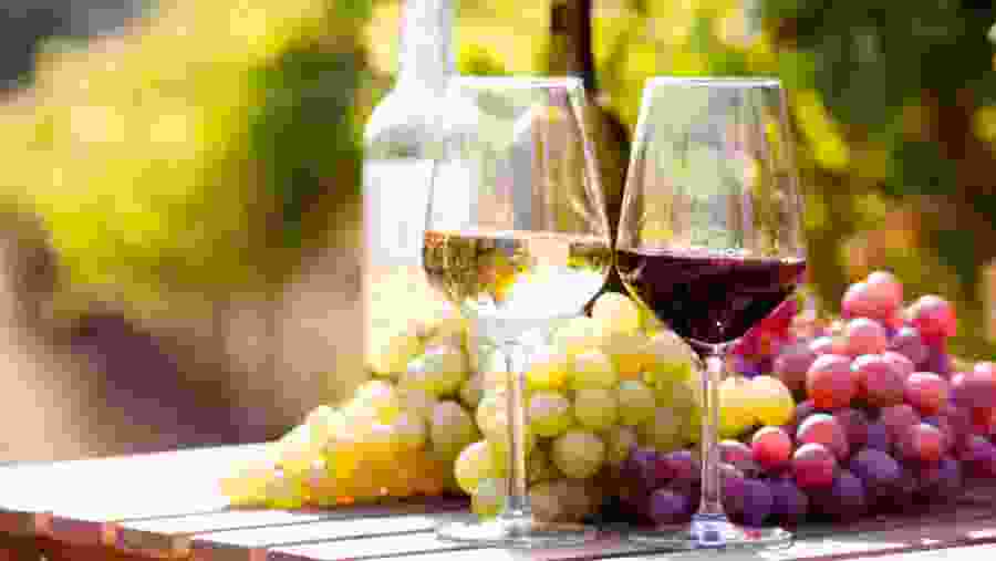red and white wines