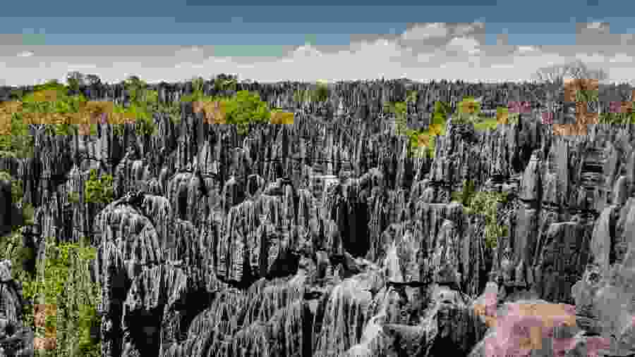 Tsingy de Bemaraha, Madagascar