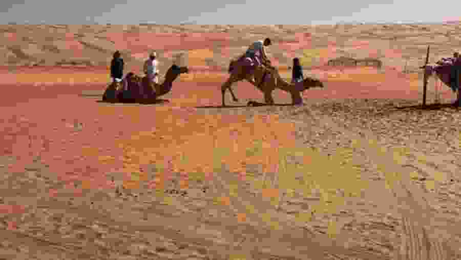 Partake in fun activities like camel riding