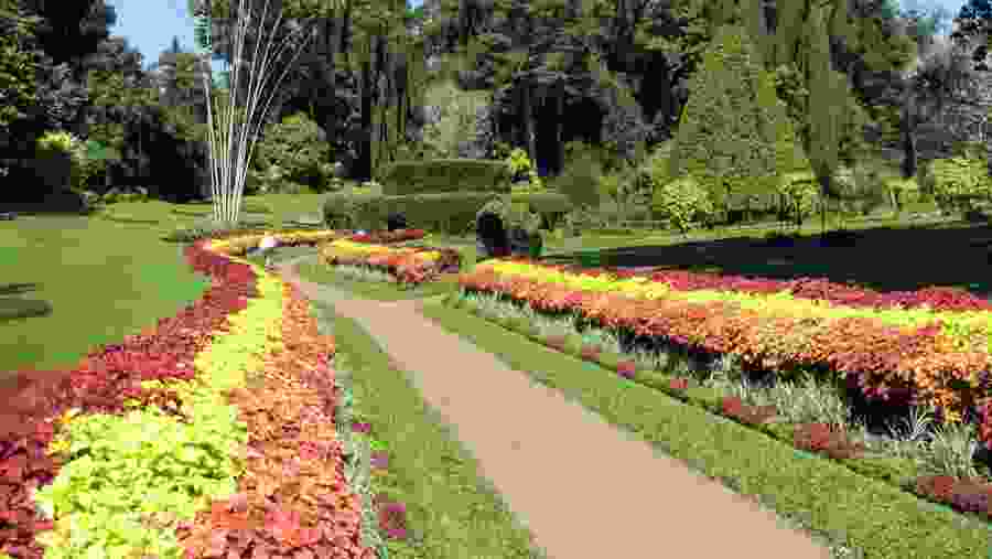 Peradeniya Botanical Gardens, Sri Lanka
