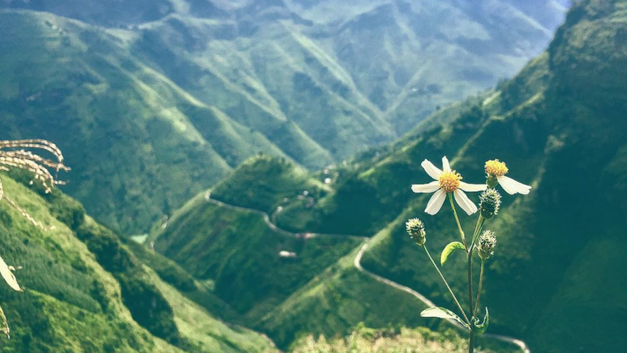 mountainous landscape 
