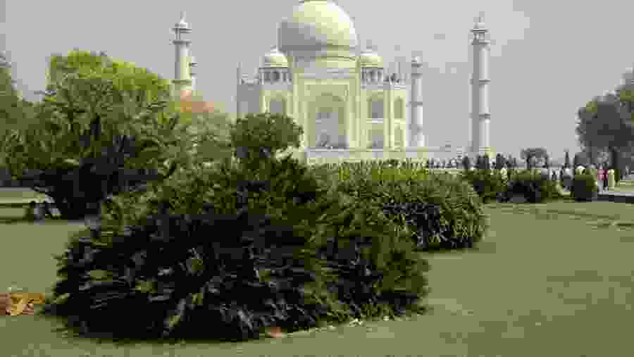 Taj Mahal