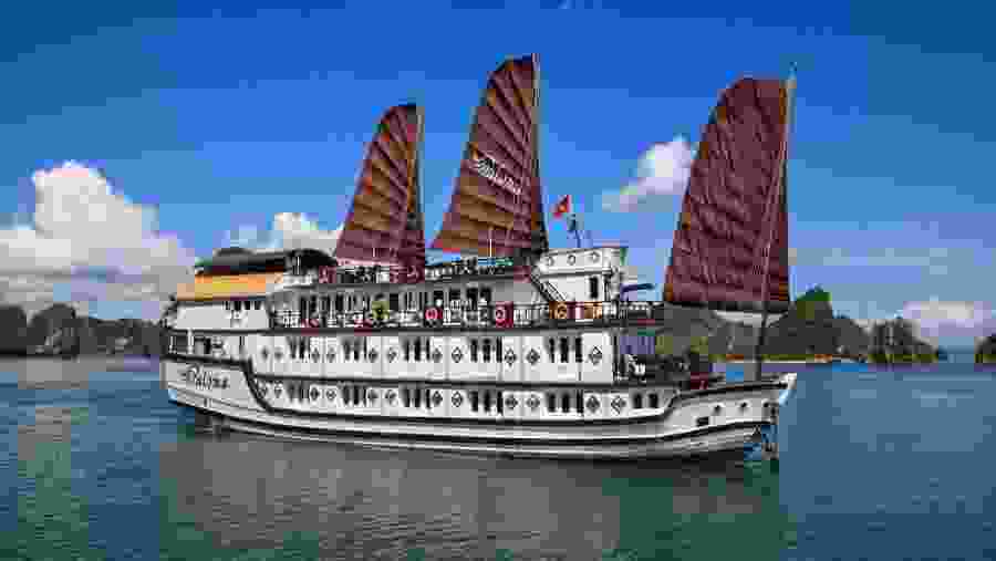 Paloma Cruise