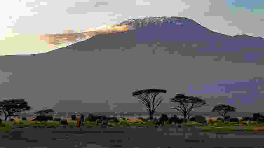 Mt. Kilimanjaro