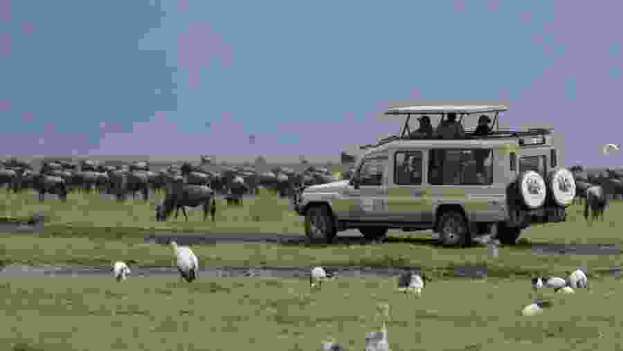 Jeep Safari