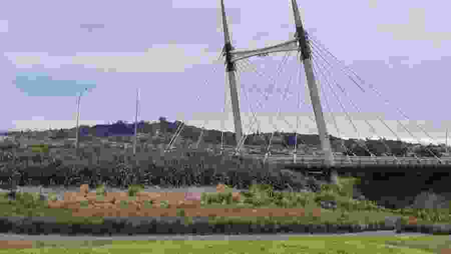 View from Barry Curtis Park