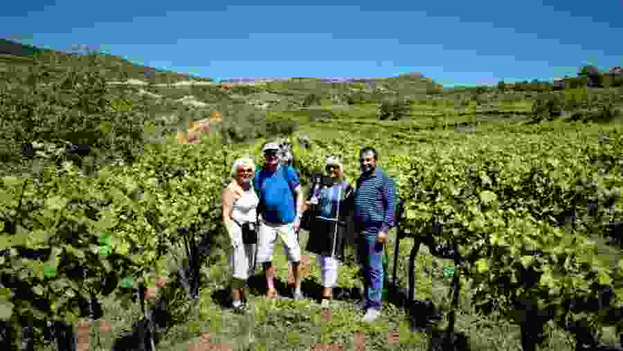 Vineyard Tour in Bogova