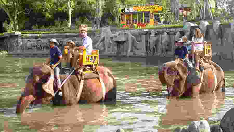 Elephant ride
