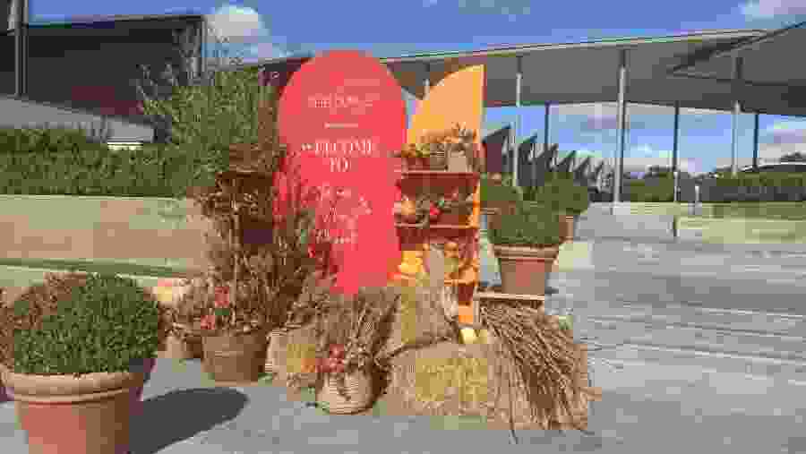 The Mall