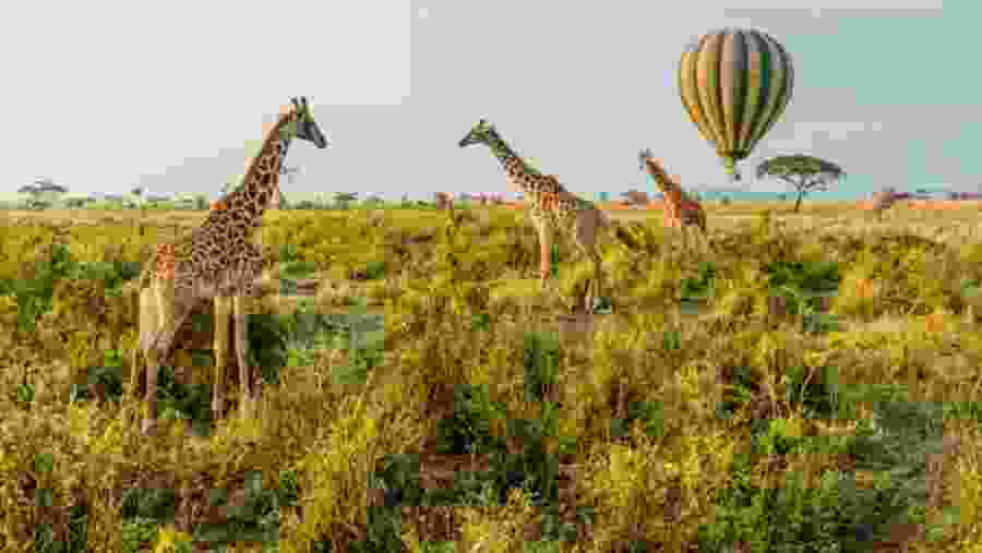Serengeti National Park