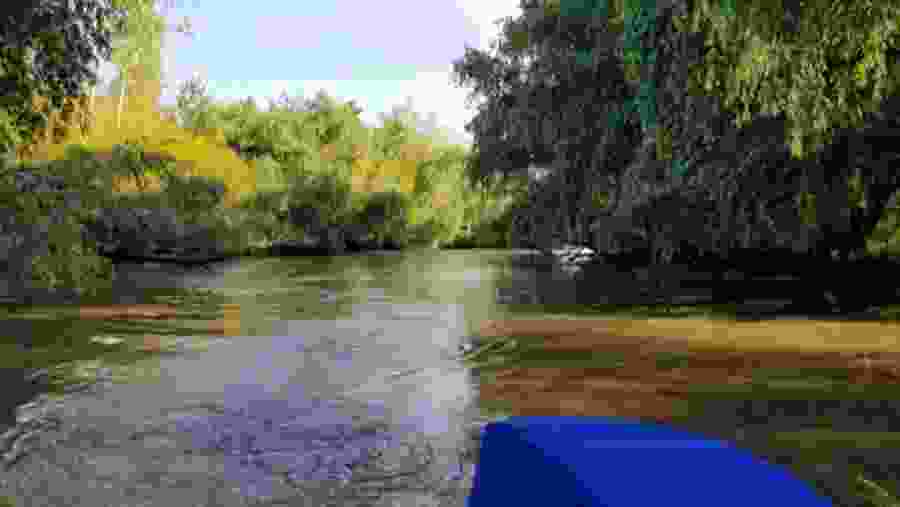 Tigre Delta In Buenos Aires, Argentina