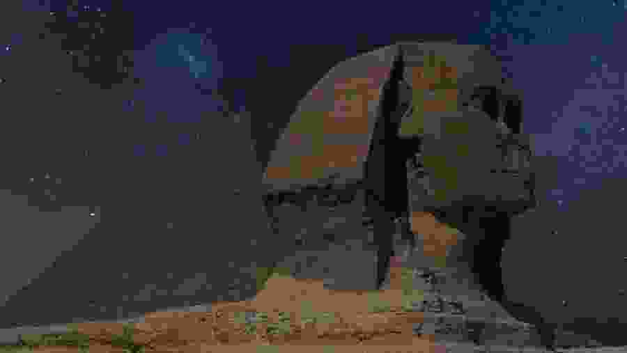 Admire the Great Sphinx