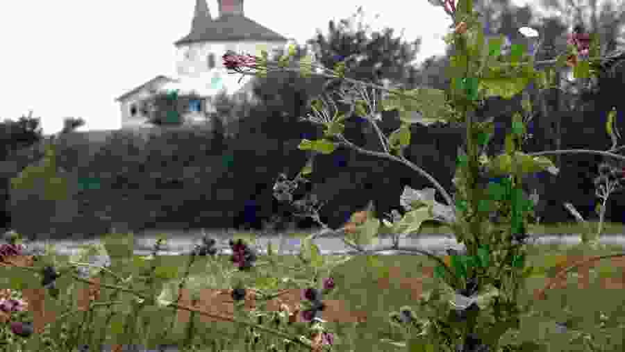 Suzdal is one of the Golden Ring cities, located 230 km east of Moscow.