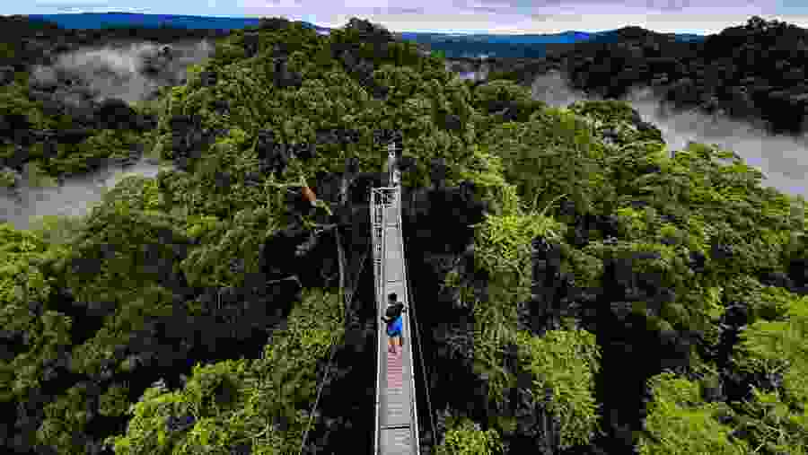 Ulu Temburong National Park