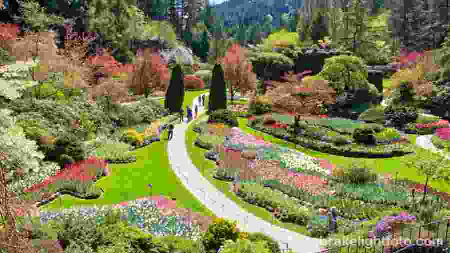 Explore the Butchart Garden