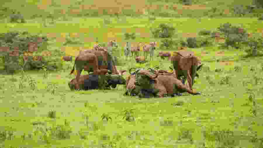 Arusha National Park