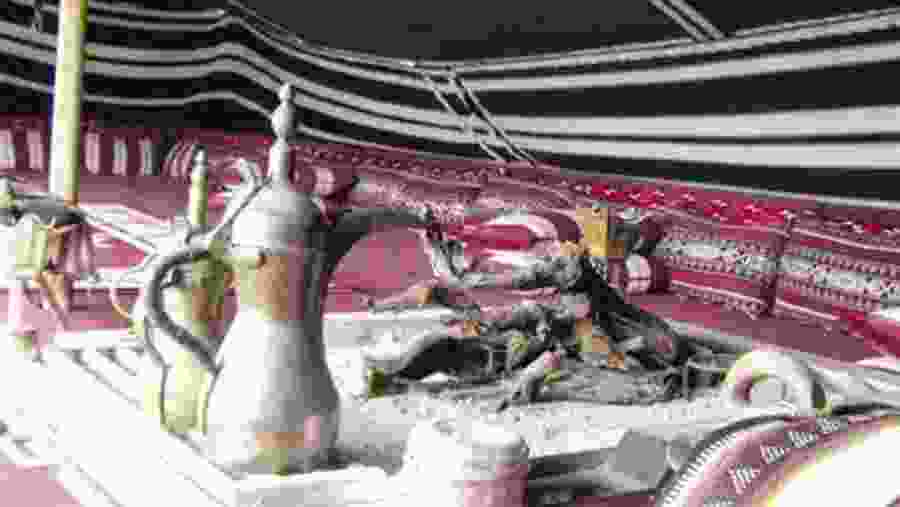 Witness Bedouin lifestyle and culture