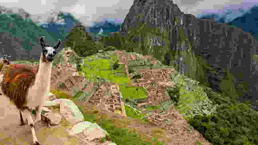 Machu Picchu Tour