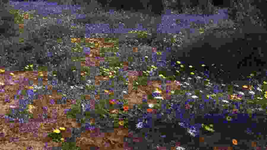 West Coast National Park