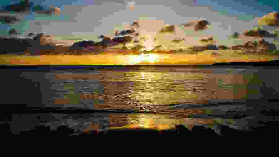 Explore the Carbet Beach