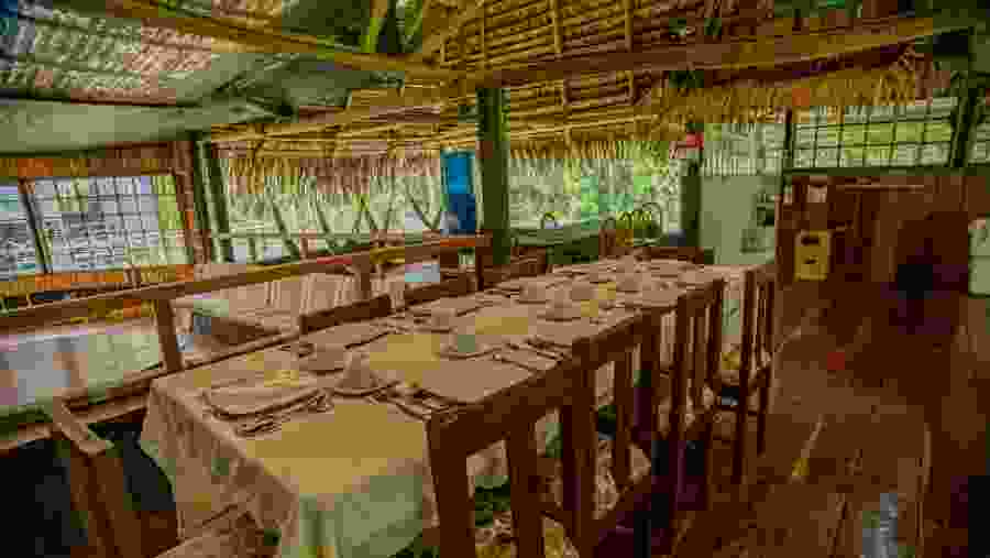 Tapir Lodge