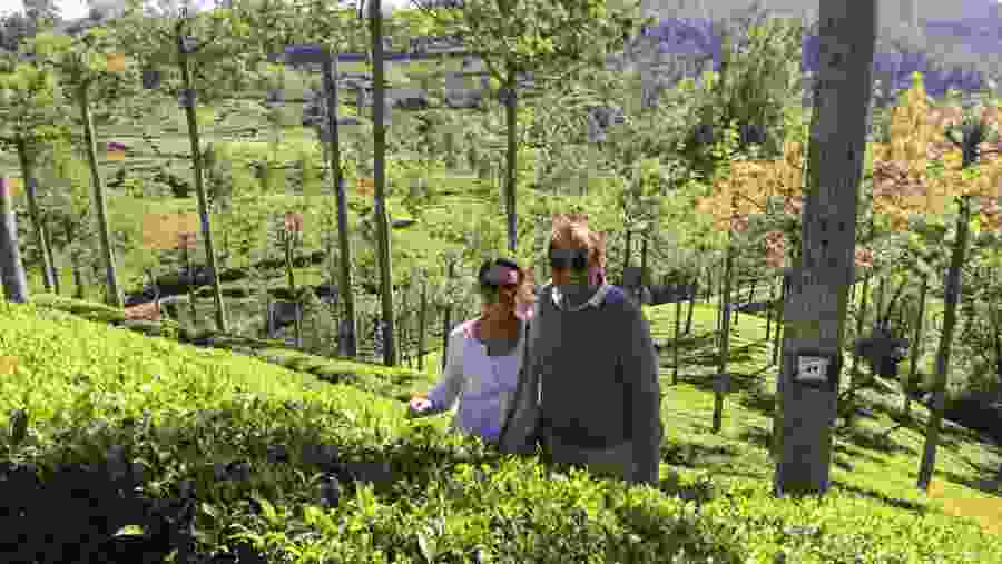 Nuwara Eliya Tea Plantation