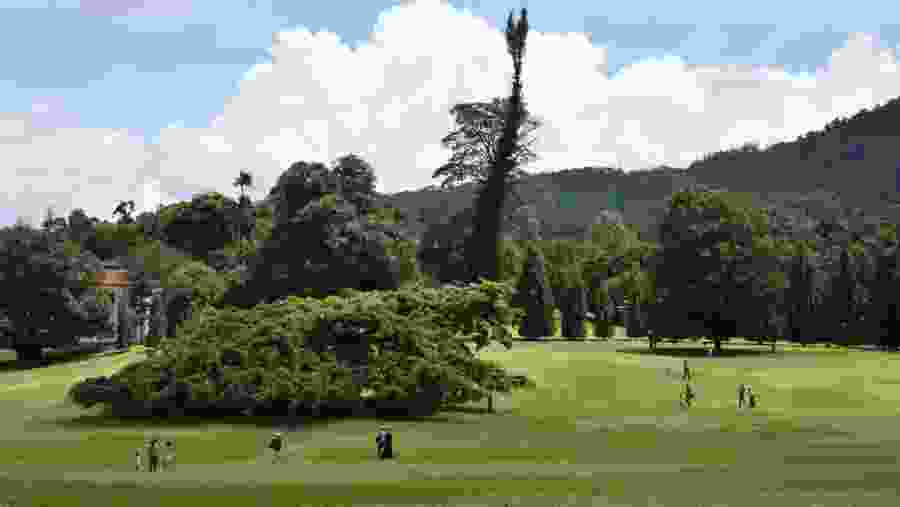 Peradeniya Botanical Gardens