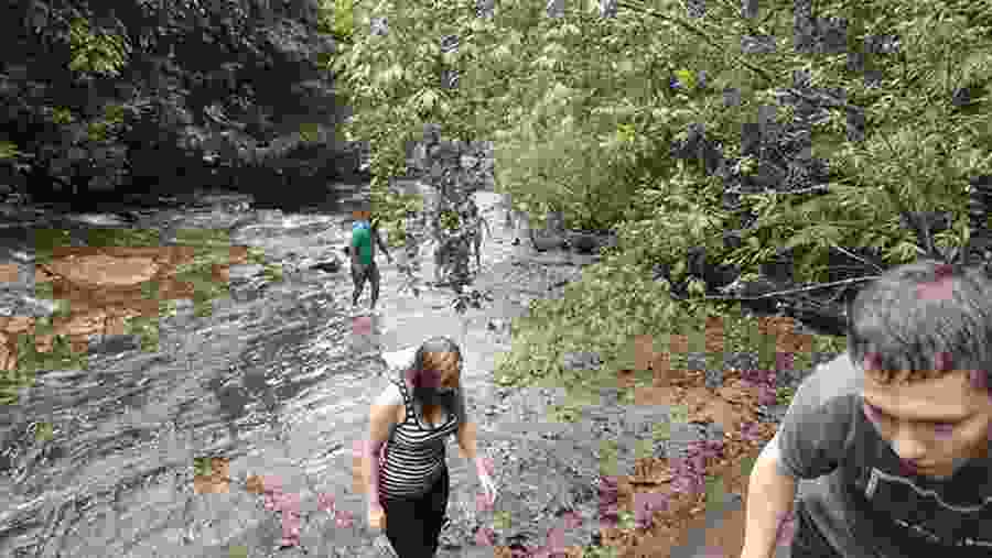 Uduwara And Nagadowa Waterfall Trekking