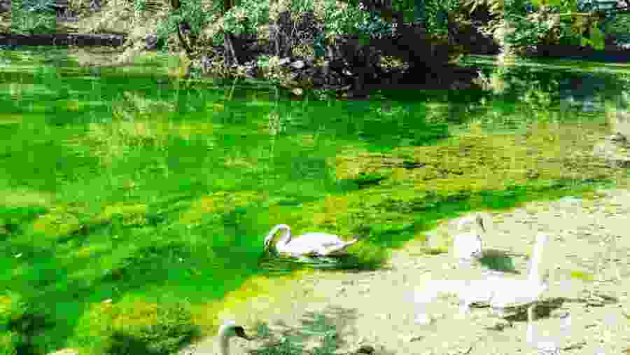 River Bosna