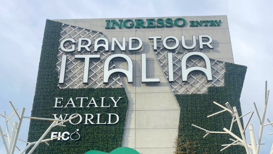 Impara l'arte della vera pizza napoletana