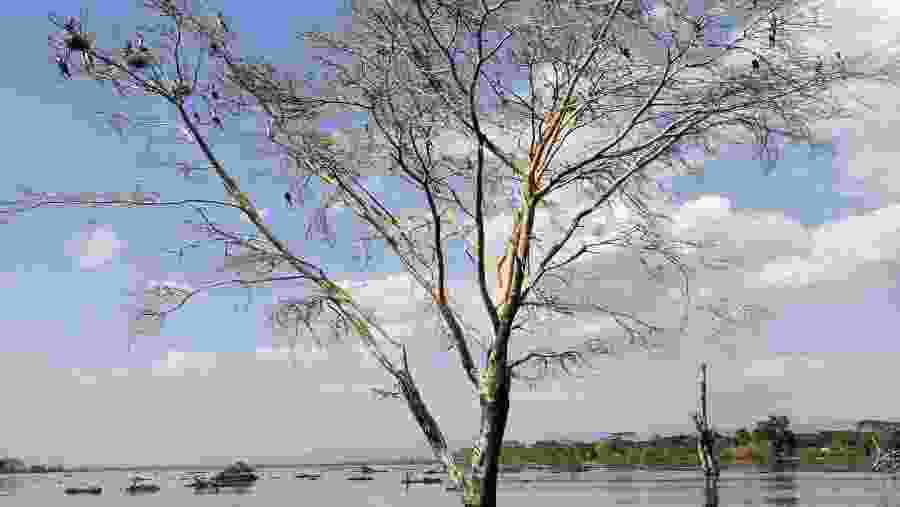 Enjoy a boat ride at Lake Naivasha