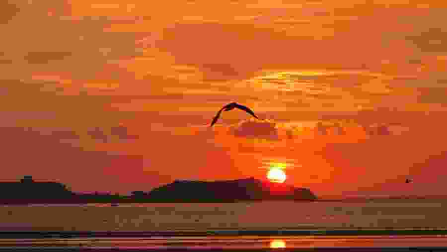 Sunset at the Essaouira Port