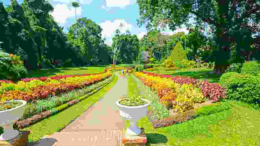 Peradeniya Botanical Garden